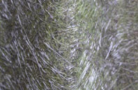 Lacasaidh fibreglass roof work